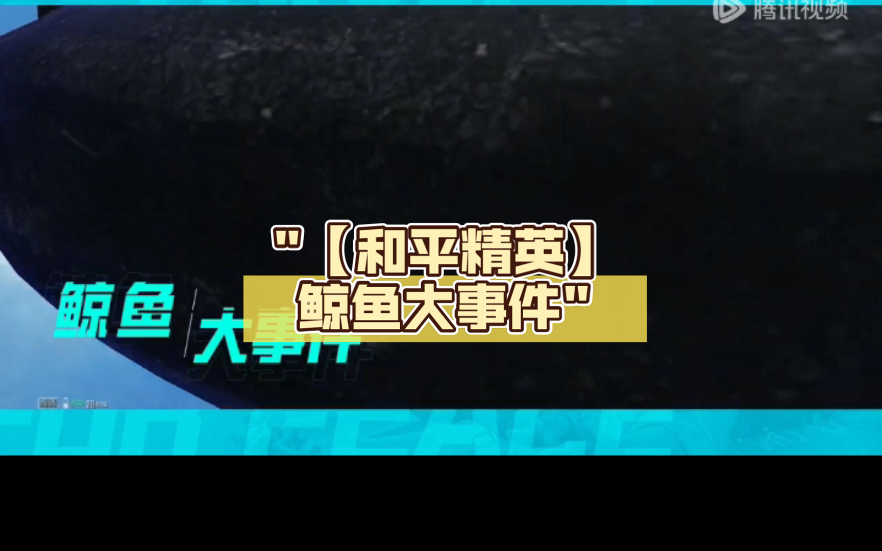 【和平精英】鲸鱼大事件