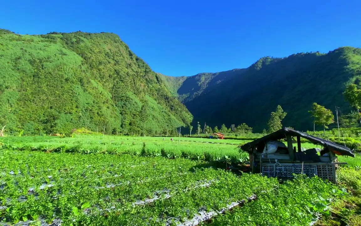 漫步 宁静村庄的早晨气氛