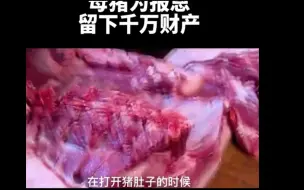 Download Video: 不可思议