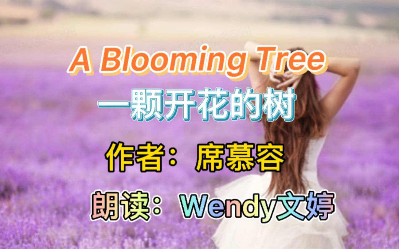 经典诗篇 一颗开花的树 A Blooming Tree (作者:席慕容)哔哩哔哩bilibili