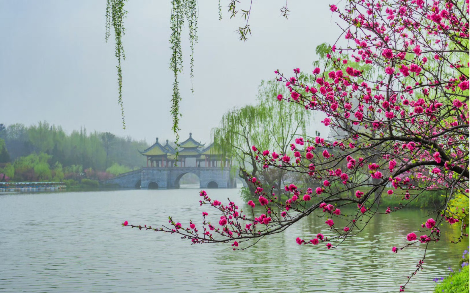 [图]两岸桃花，一溪春水绿，一曲《溪行桃花源》悠悠醉我心，宛在仙境！