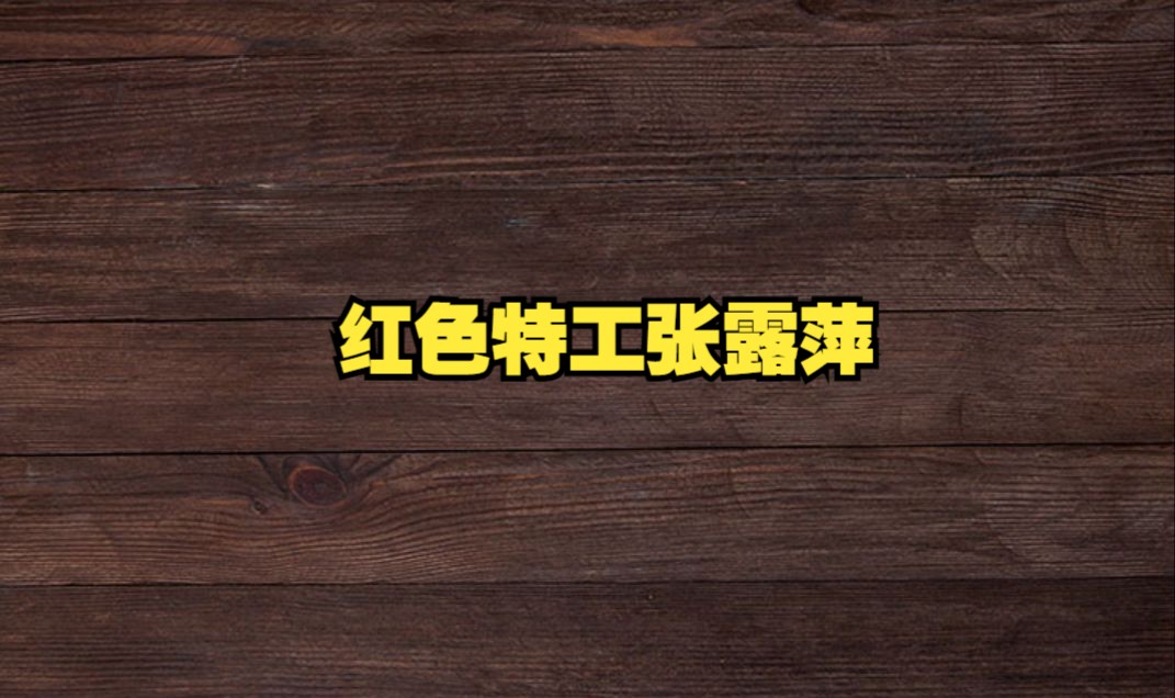 红色特工张露萍哔哩哔哩bilibili