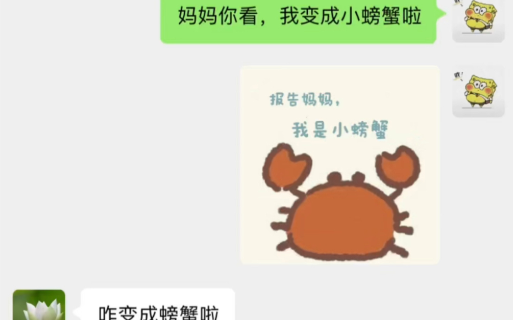 妈妈 我今天是小螃蟹 可是没有铅了哔哩哔哩bilibili