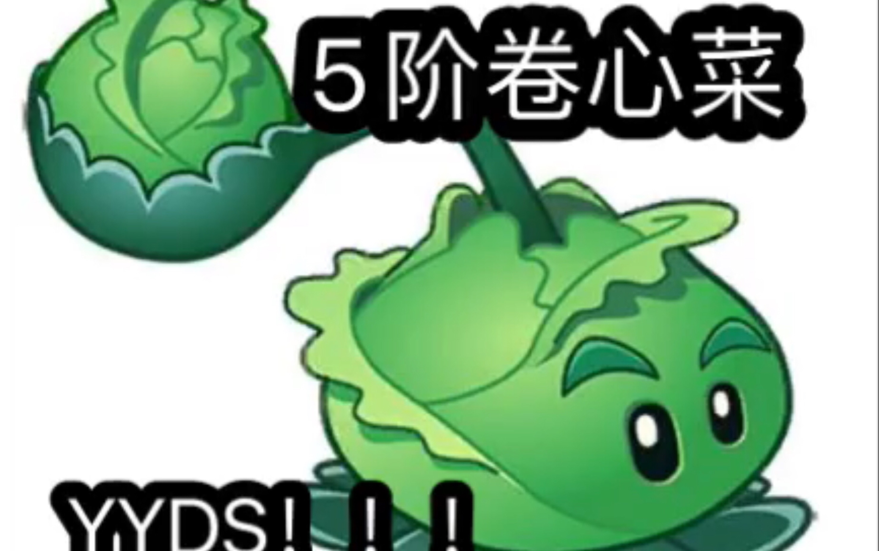 5阶卷心菜投手永远的神燃向剪辑