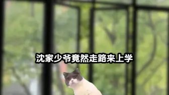 《北野翻倍》第二集