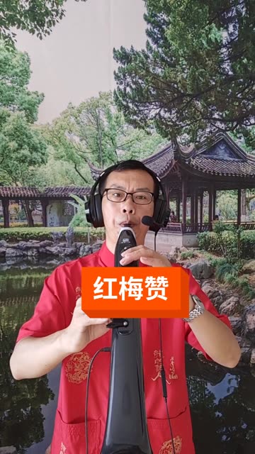 于红梅二胡教学红梅赞图片