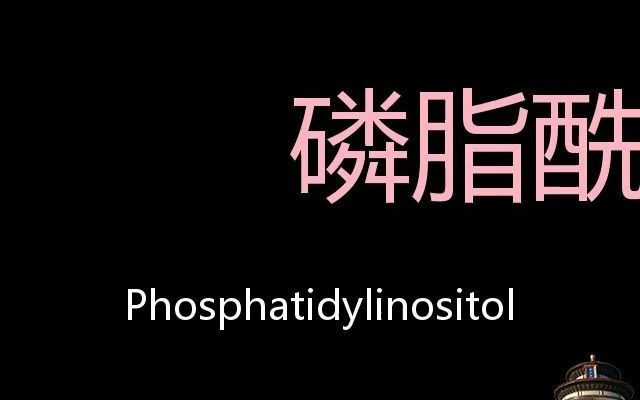 磷脂酰肌醇 Chinese Pronunciation Phosphatidylinositol哔哩哔哩bilibili