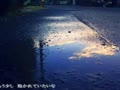 【十文字】rain stops,goodbye哔哩哔哩bilibili