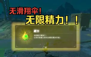 Télécharger la video: 【地狱塞尔达】没有滑翔伞就无限精力？全网首创刷精力教程