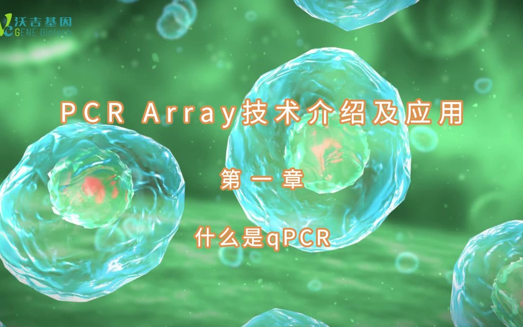 PCR Array技术介绍及应用 第一章:qPCR的概念哔哩哔哩bilibili