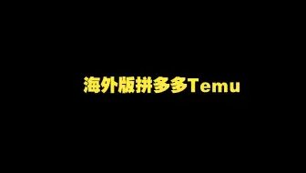 海外版拼多多Temu从零到一实践课,从入驻到运营的最全教程