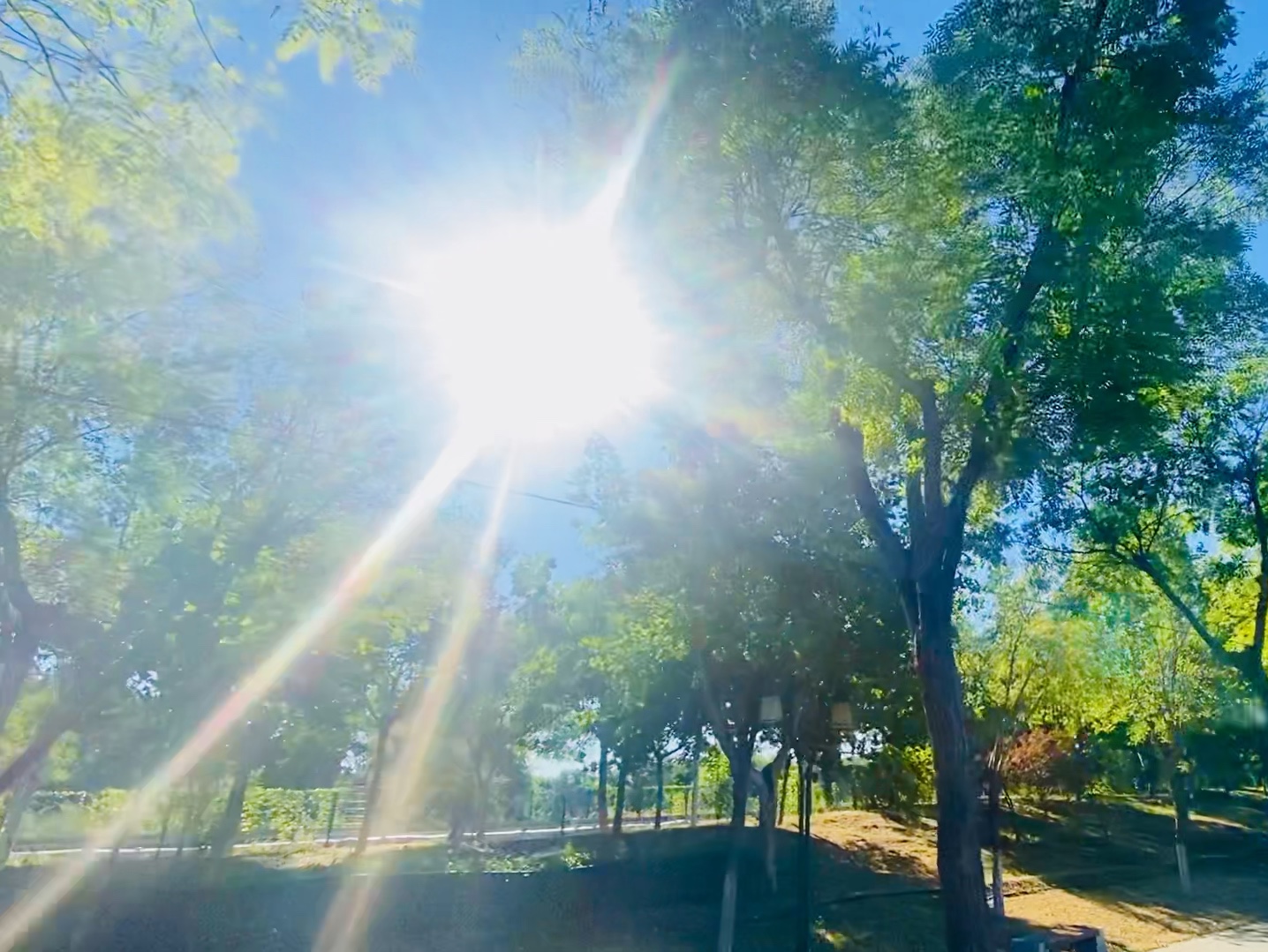 今日秋分日月同辉