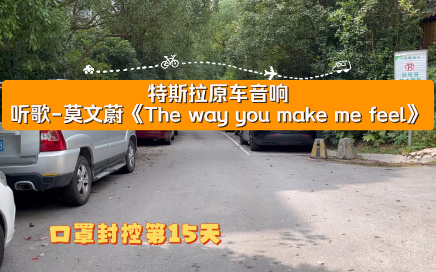 [图]『毕毕听歌』口罩封控在家，特斯拉原车音响听歌-莫文蔚《The way you make me feel》