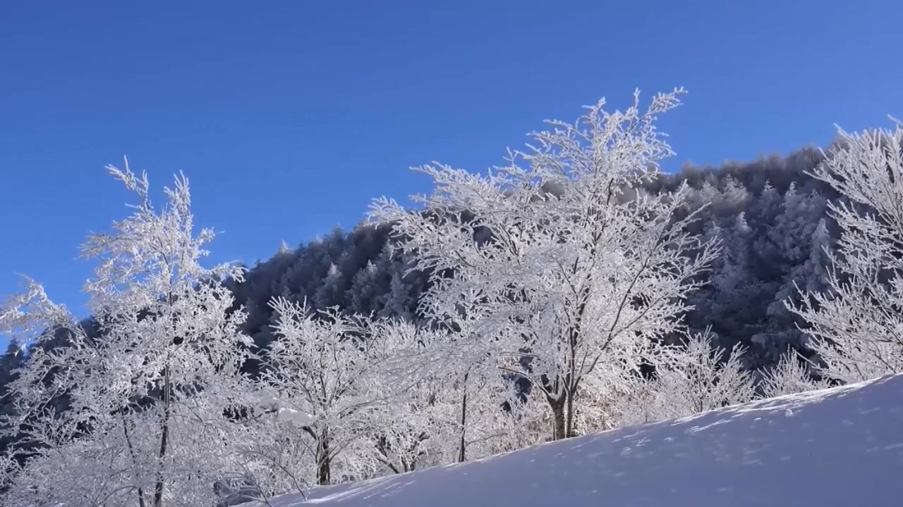 [图]一首新歌《往事如烟》，旋律悠扬，好听分享！