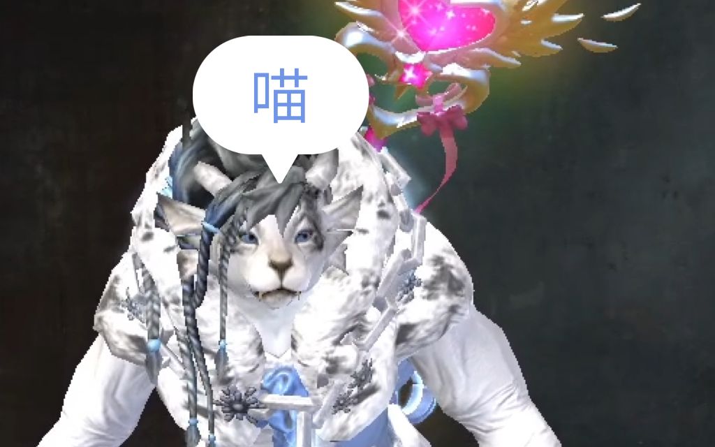 激战2夏尔女性捏脸 清秀的小母猫(猹)