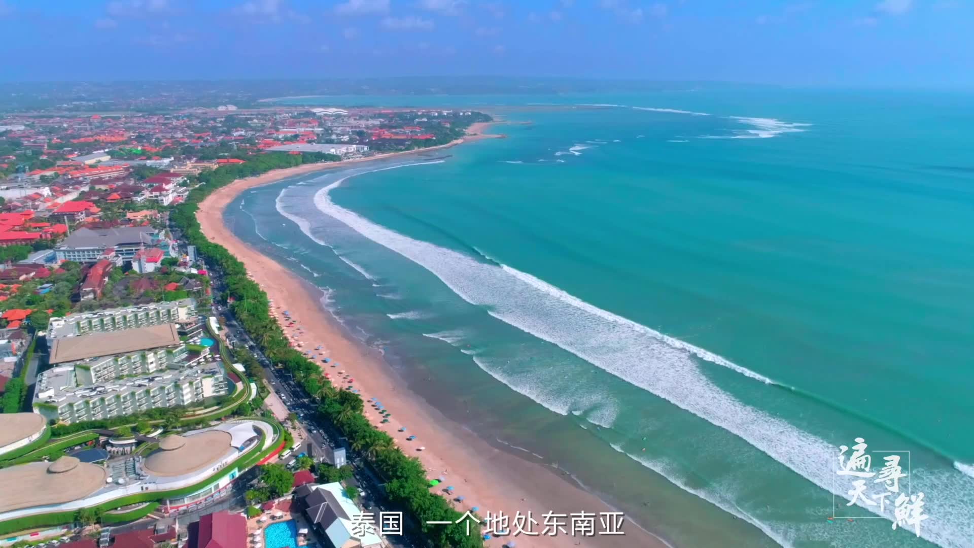 遍寻天下鲜 • 泰国榴莲
