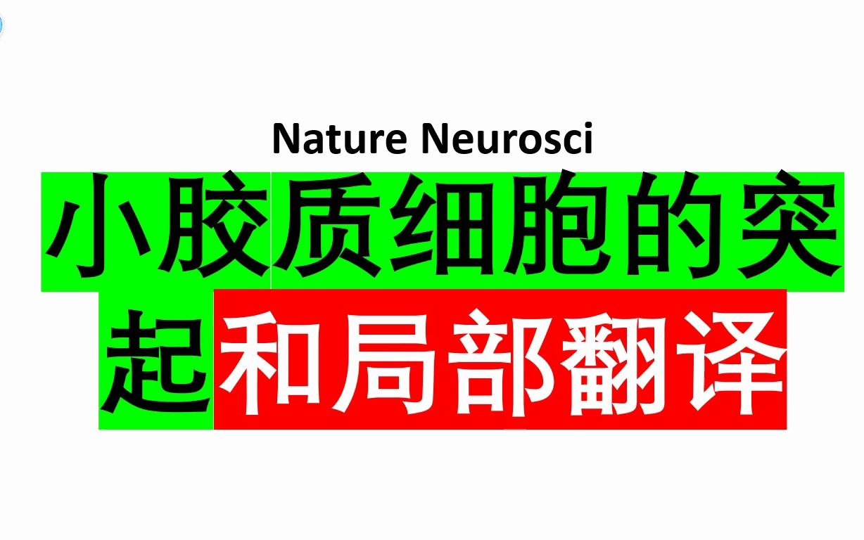 Nature Neurosci—小胶质细胞吞噬的奥秘哔哩哔哩bilibili