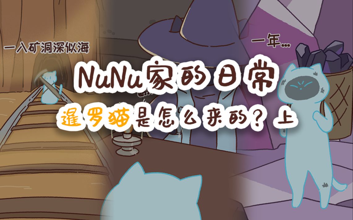 NuNu家的日常 暹罗猫是怎么来的?上哔哩哔哩bilibili