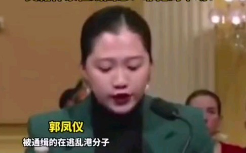 乱港分子郭凤仪外逃美国称不自由 美籍作家在线回怼:罪犯的下场!哔哩哔哩bilibili