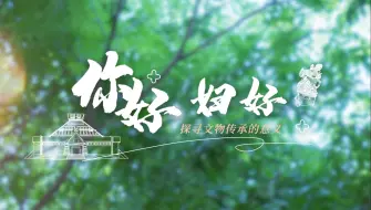 Download Video: 《你好，妇好——探寻文物传承的意义》｜“我心中的思政课”——第八届全国高校大学生微电影展示作品