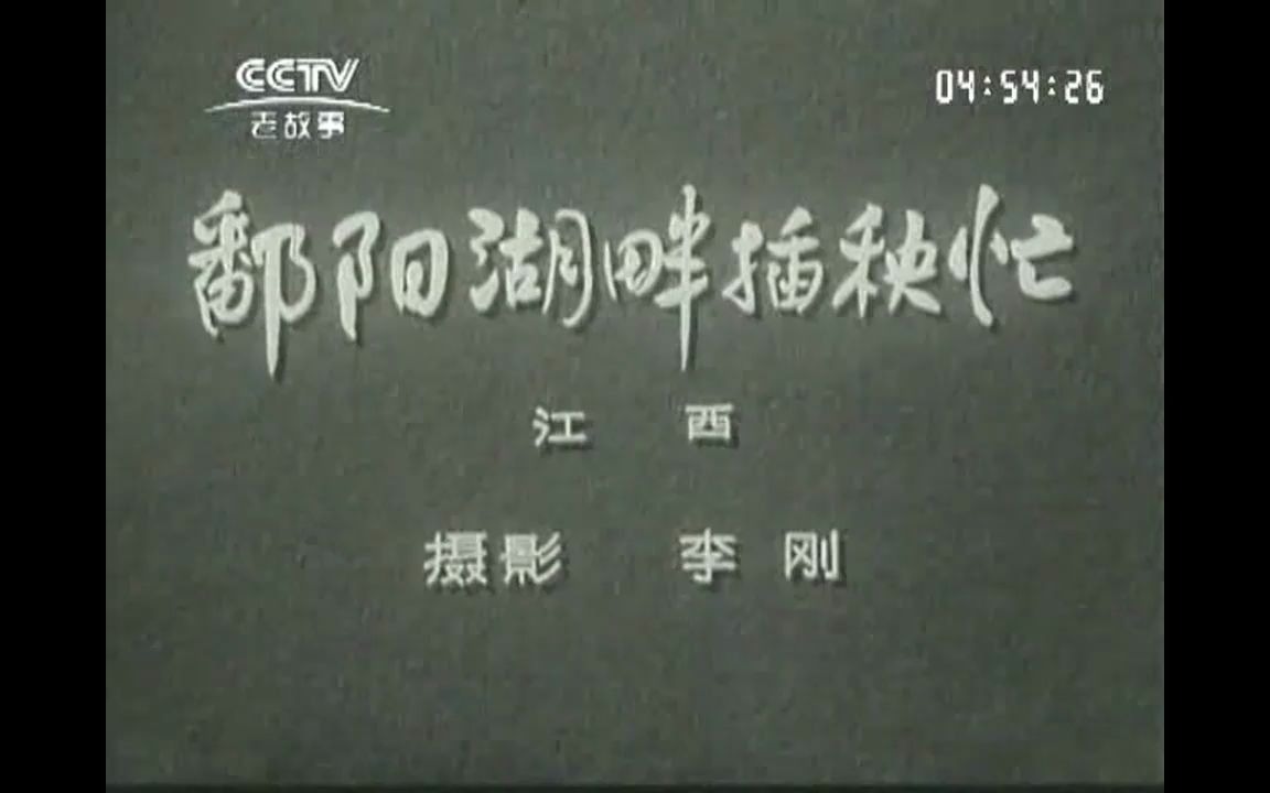 [图]《新闻简报1964年第14号》鄱阳湖畔插秧忙