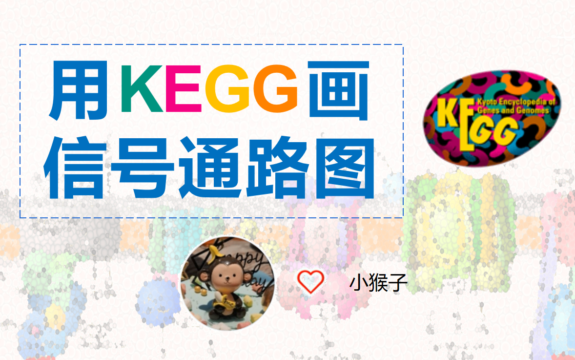 【生信分析8】用KEGG画信号通路图KEGGMapper哔哩哔哩bilibili