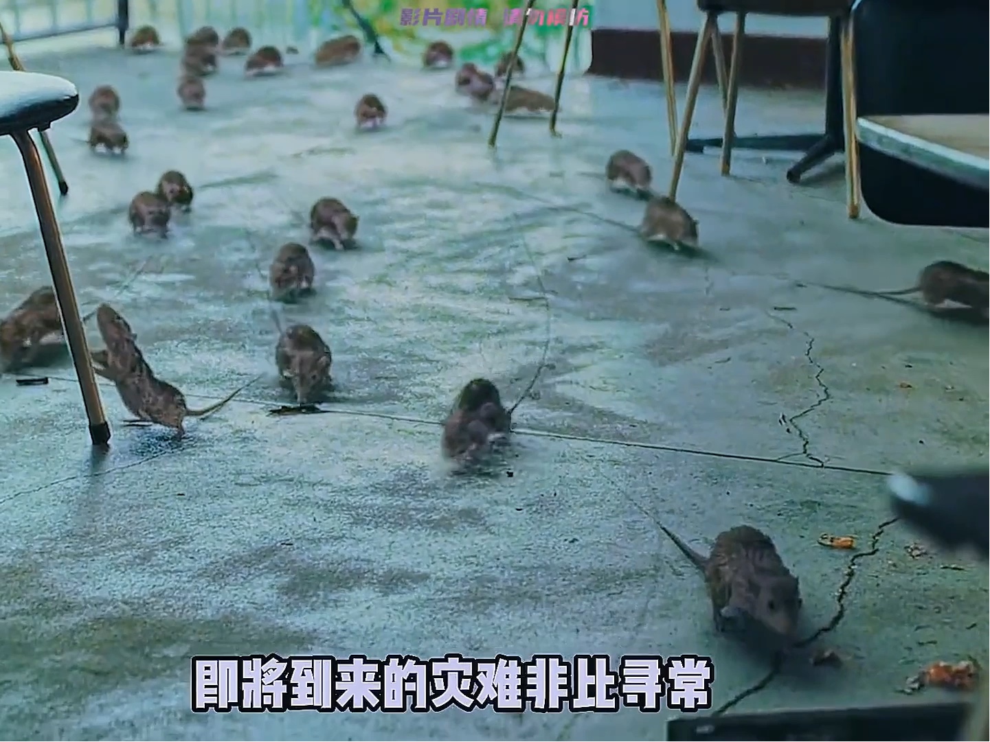 真实故事改编的灾难片《恶水》,看的让人恐惧不已,离谱却也合理