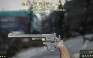 Video herunterladen: 染爆填手枪流（十字军，西部，10mm）实录，哪一把最适合你呢？