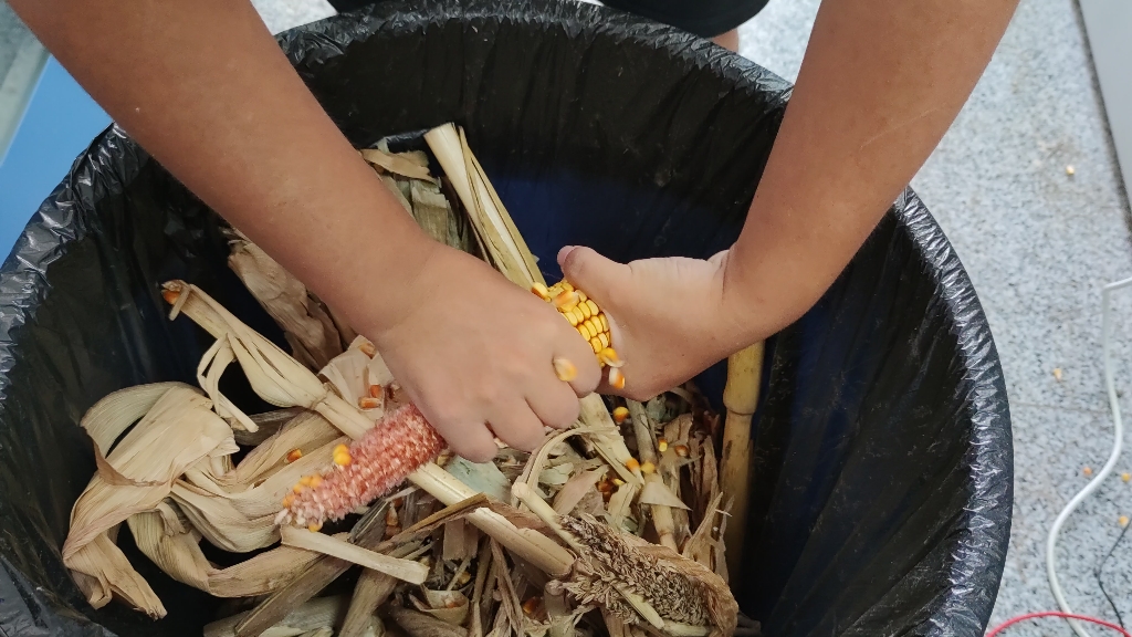 活动作品搓苞谷冠军