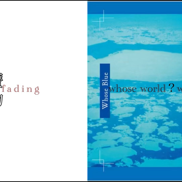 Whose World? Whose Blue? TK-side & 贋物-side_哔哩哔哩_bilibili