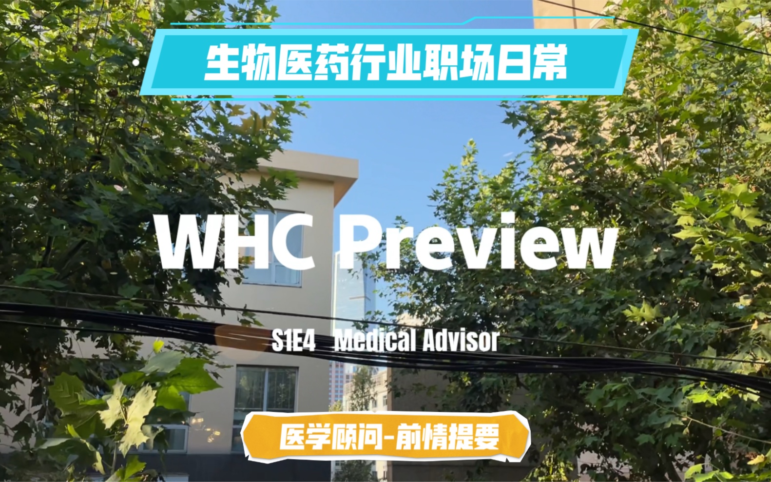 WHC|S1E4前情提要|生物医药行业|医学顾问职场日常|临床专业|制药|世界500强|治疗领域|名校海归|医学生|MA|国际会议|美国留学|职业规划|毕业季哔哩哔哩...