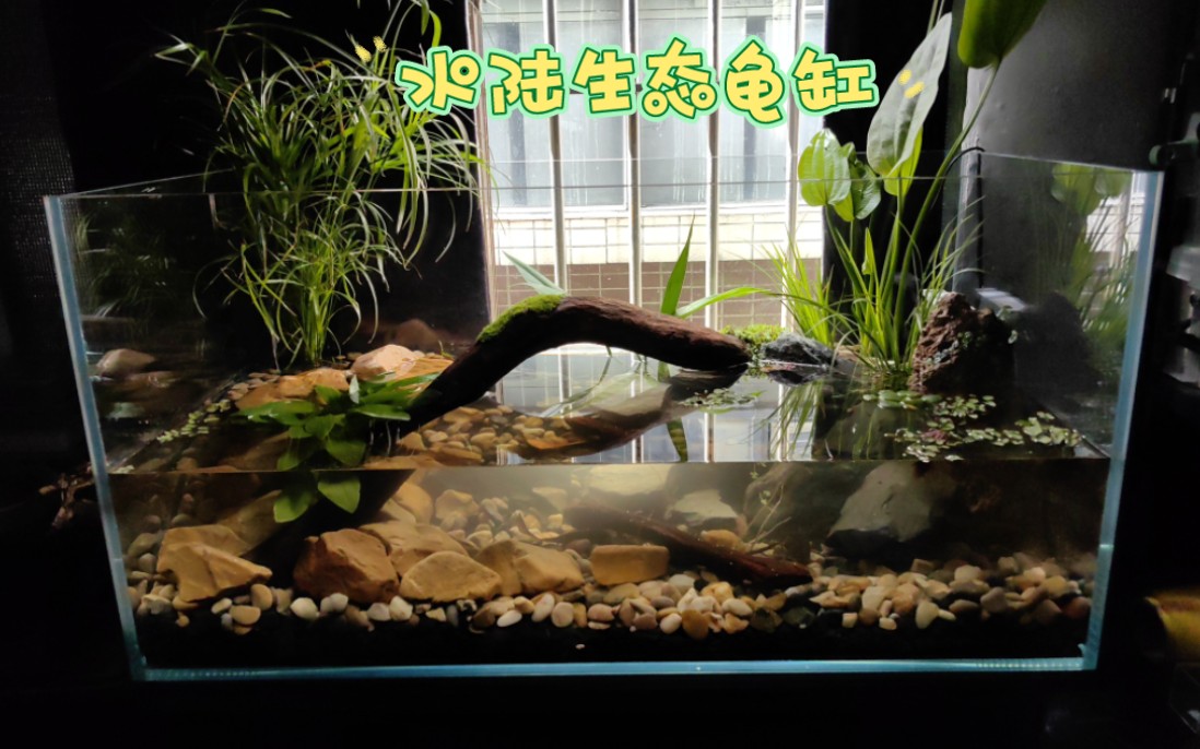 客订水陆生态龟缸鱼缸造景