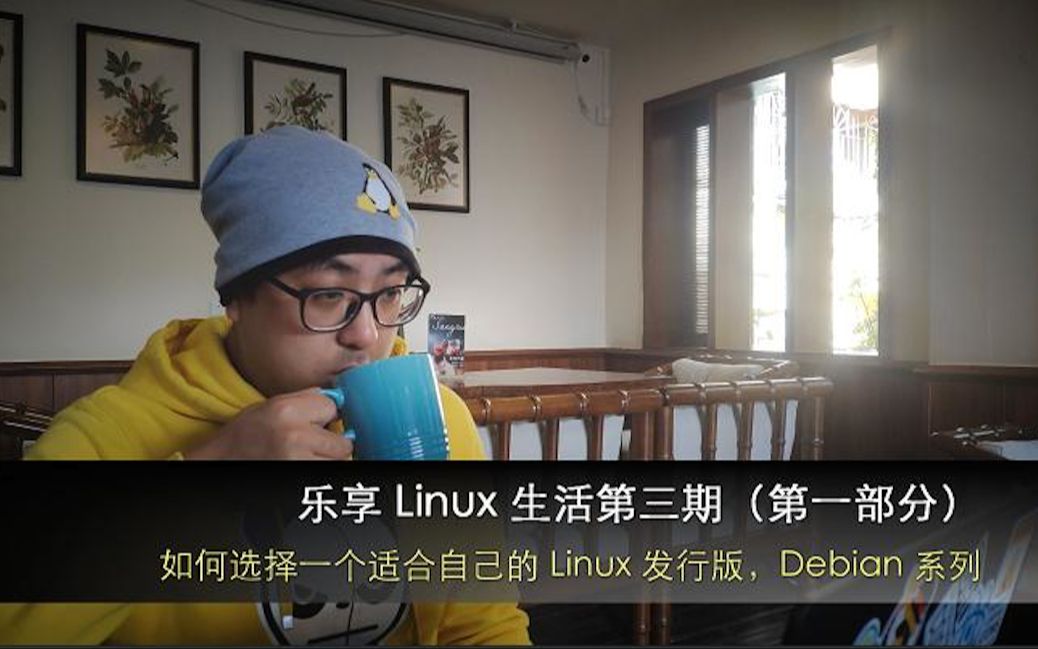 乐享 Linux 生活第三期(第一部分),如何选择一个适合自己的 Linux 发行版,Debian 系列哔哩哔哩bilibili