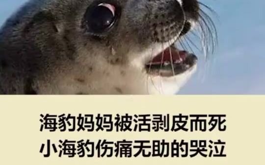 [图]#搞笑萌宠#别再让动物流泪