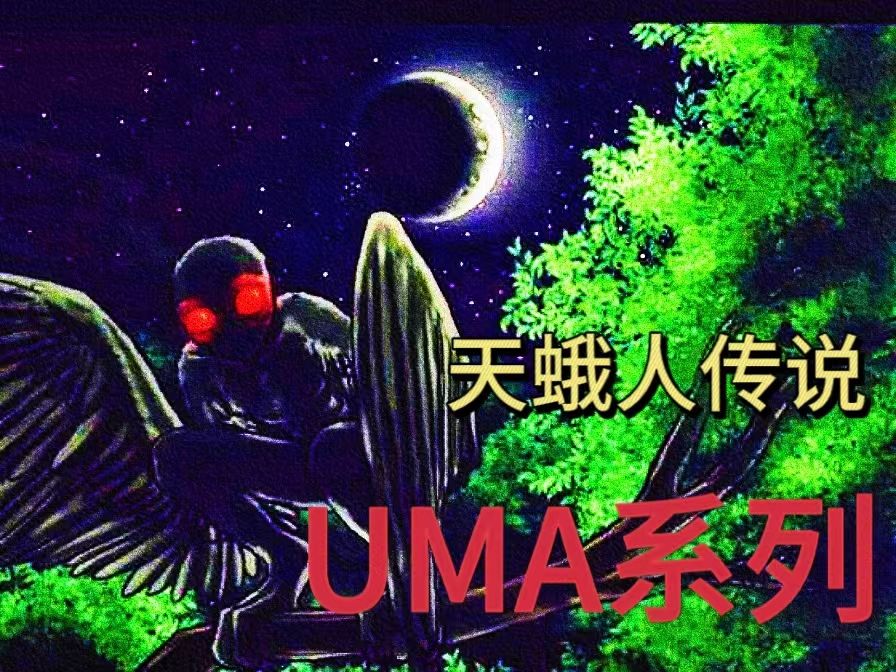 [图]《UMA系列》天蛾人的神秘传说！讲述天蛾人的目击事件以及分析。