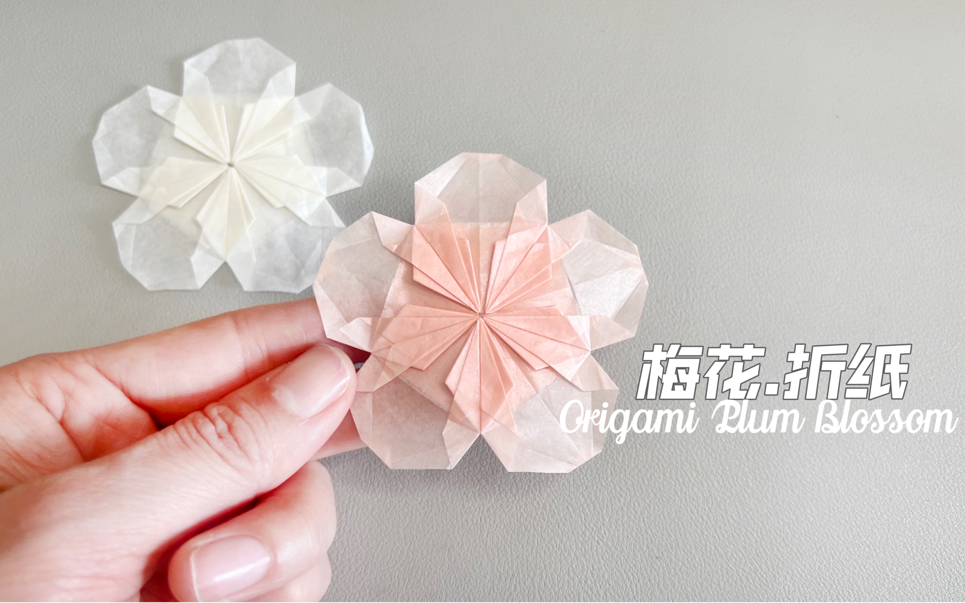 [图]【梅花.折纸】 Origami Plum Blossom 梅开，眼笑，喜上梢