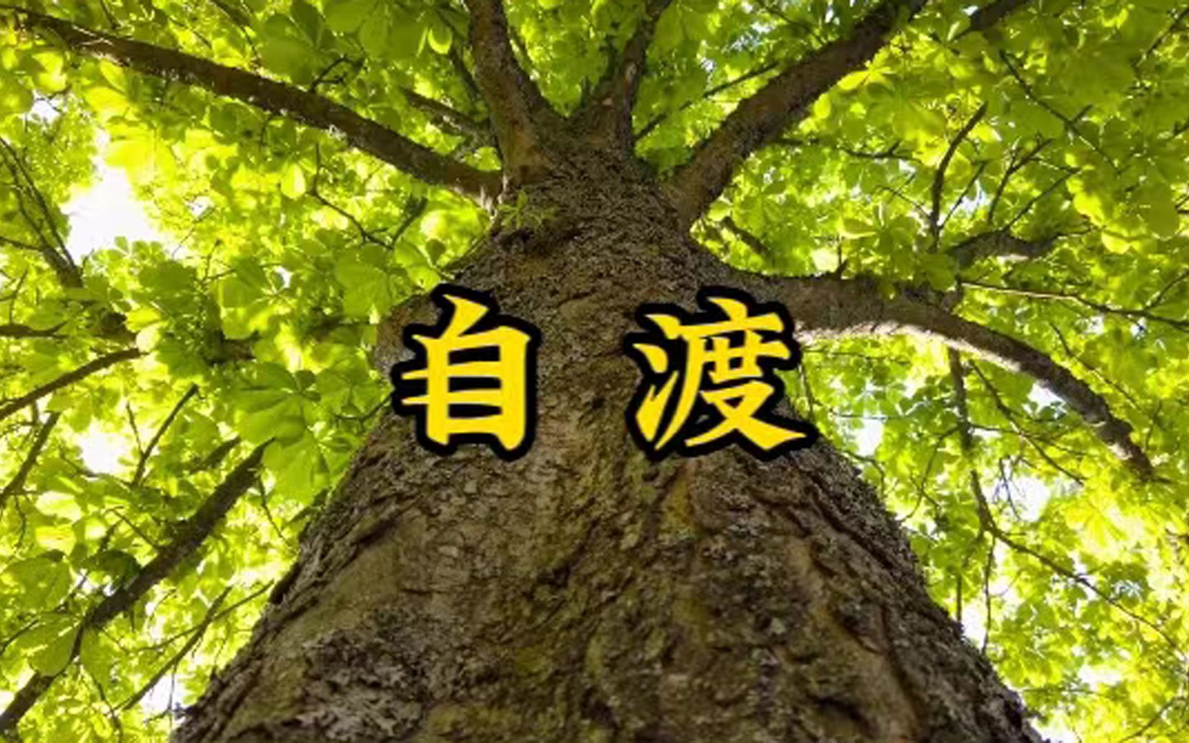 人不自渡,天也难助,凡事靠自己,是一个人最大的底气