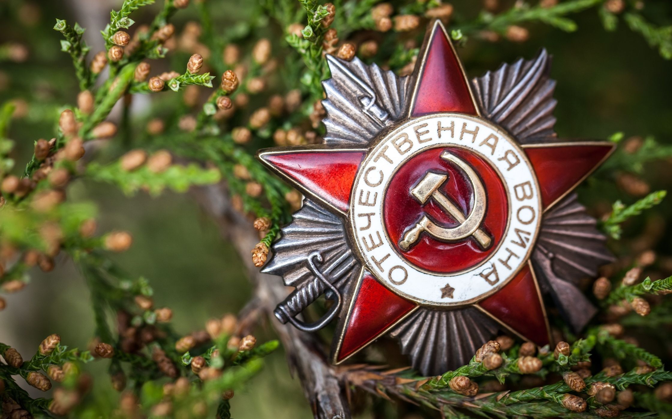 活动作品中俄字幕感谢一切Спасибо