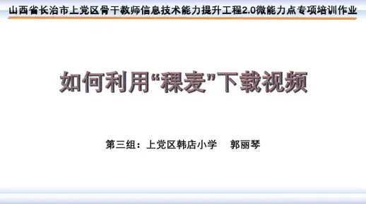 如何利用“稞麦”下载视频