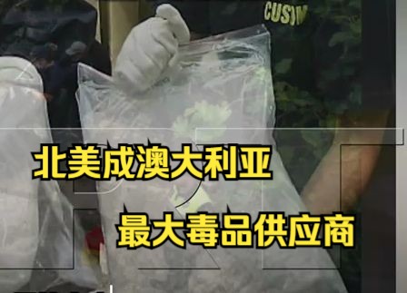 首超东南亚 北美贩毒集团成为澳大利亚最大毒品供应商哔哩哔哩bilibili