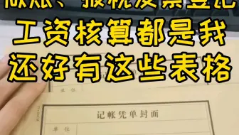 做账系统和表格，让会计不再怕#会计##会