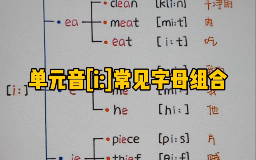 长元音[i:]在英语中的常见字母组合哔哩哔哩bilibili