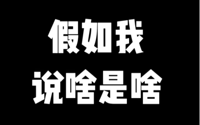 假如我说啥是啥.哔哩哔哩bilibili