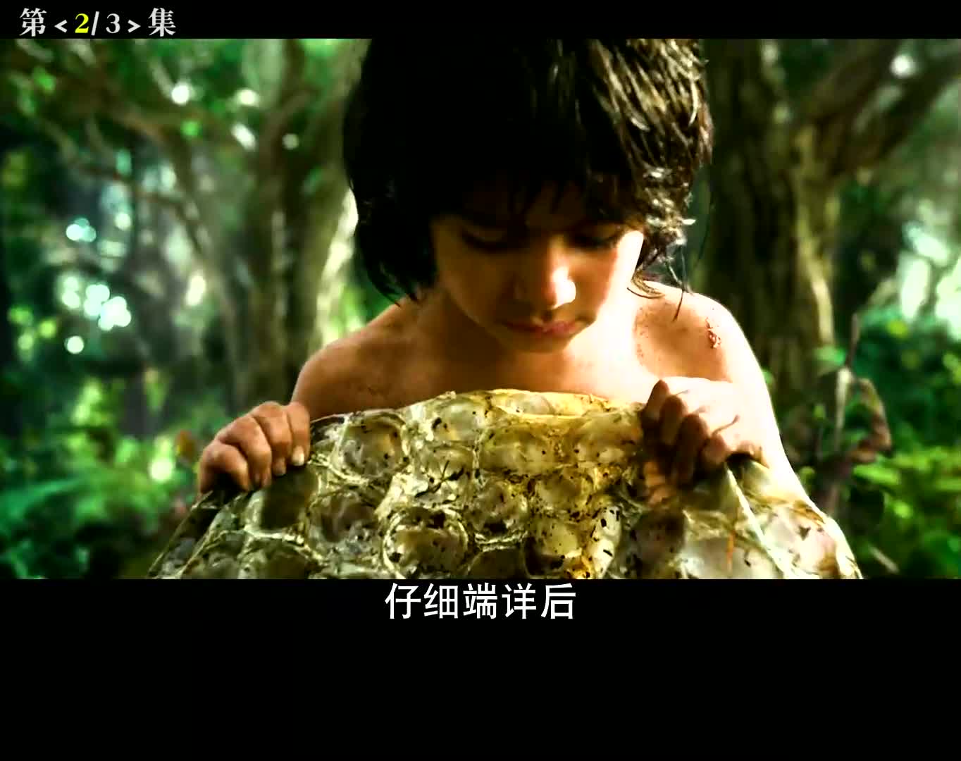 互粉互赞:第2集_小男孩奇幻森林的冒险森林