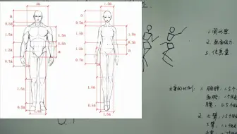 【手绘漫画基础教程】超级详细的火柴人比例画法，教你简单理解人体比例和人体动态！