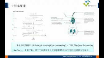 Download Video: 基于Nanopore测序的全长转录组分析