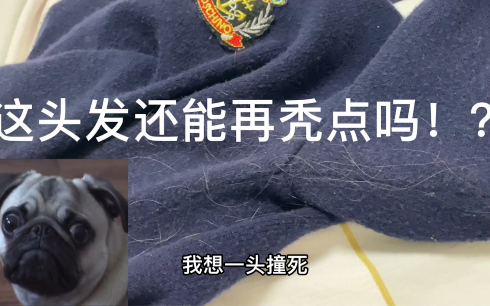 谁来拯救一下我这个掉发!秃头警告