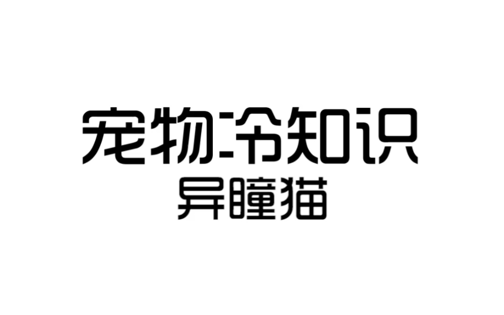 为什么异瞳猫多为白猫?哔哩哔哩bilibili