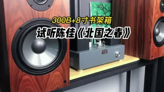 下载视频: 宝丽森300b胆机搭配8寸书架音箱，试听陈佳《北国之春》