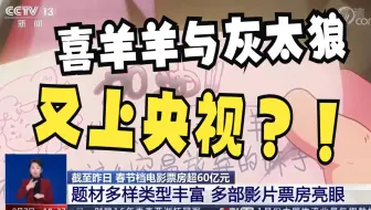 喜灰竟然又上央视了？！